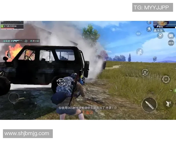 和平精英焦点BLG战队实力分析及未来发展潜力探讨实时数据